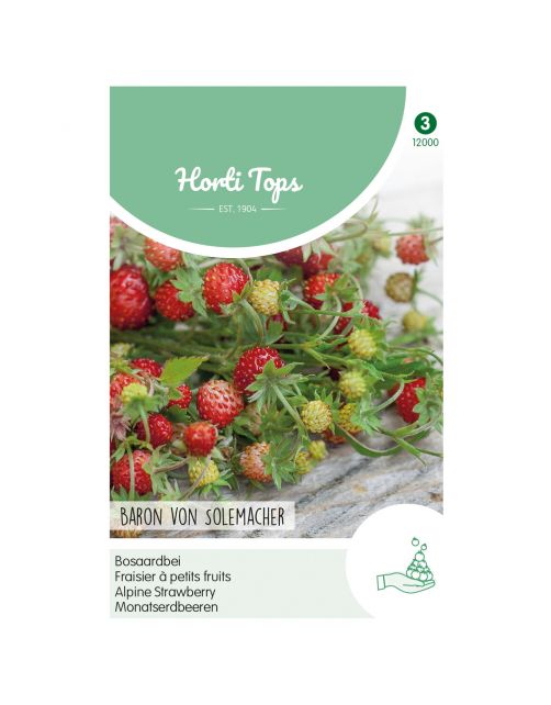 Hortitops Bosaardbei - Baron Von Solemacher - Groentezaden - 250 g