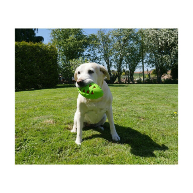 Balle Tough Crunch Rugby Ball Rosewood pour chien