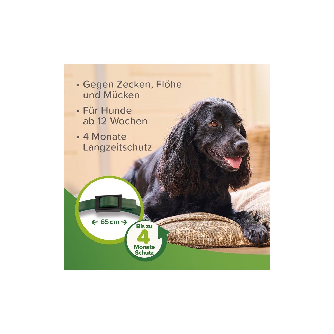 Beaphar Zecken- und Flohschutz Halsband für Hunde