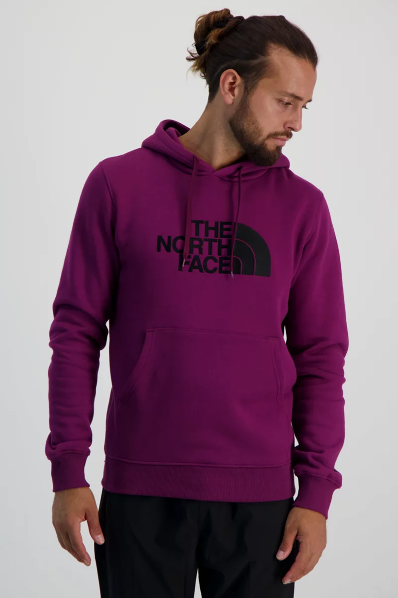 The North Face Drew Peak Herren Hoodie
