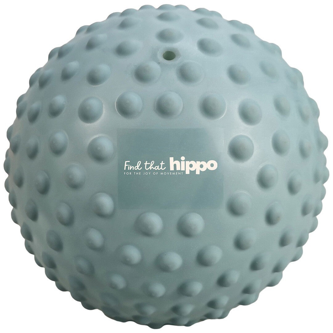 Find that hippo sensorische bal large - weldon blue