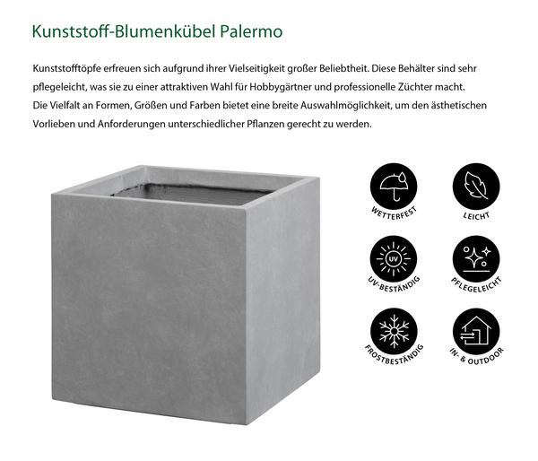 Dehner Kunststoff-Blumenkübel Palermo,