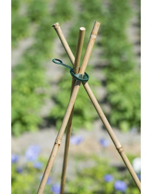 Nature Kunststof Ring Wigwamconstructie - Klim-En Geleide Artikel - 11 mm Groen 10 stuks
