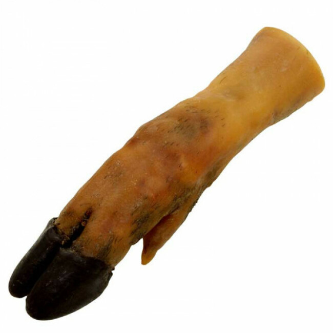Pied de porc Bubimex pour chien