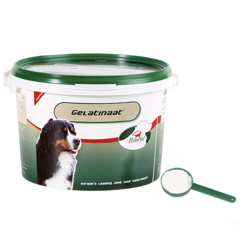 PrimeVal Gelatinaat Hond