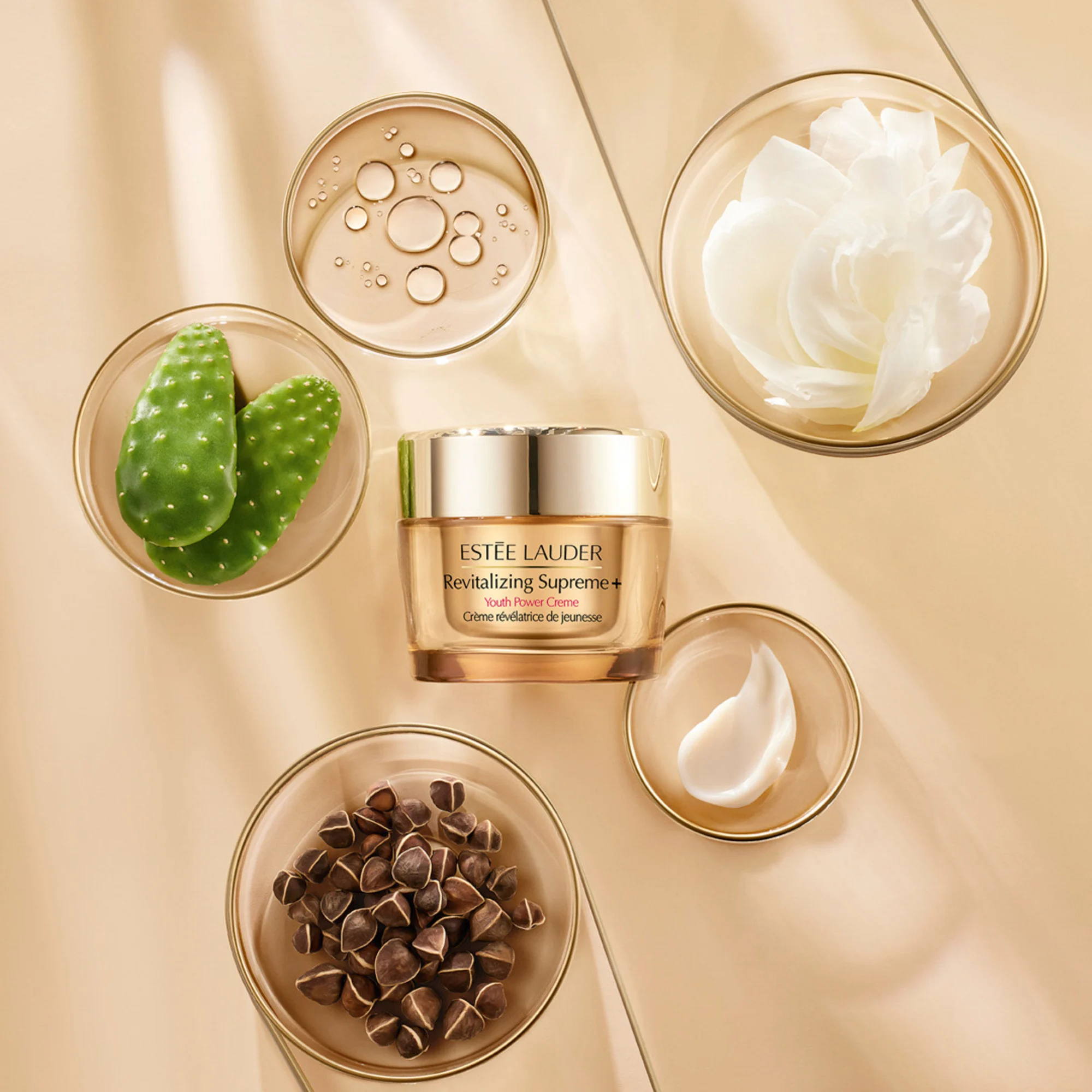 Revitalizing Supreme+ Crème révélatrice de jeunesse |
