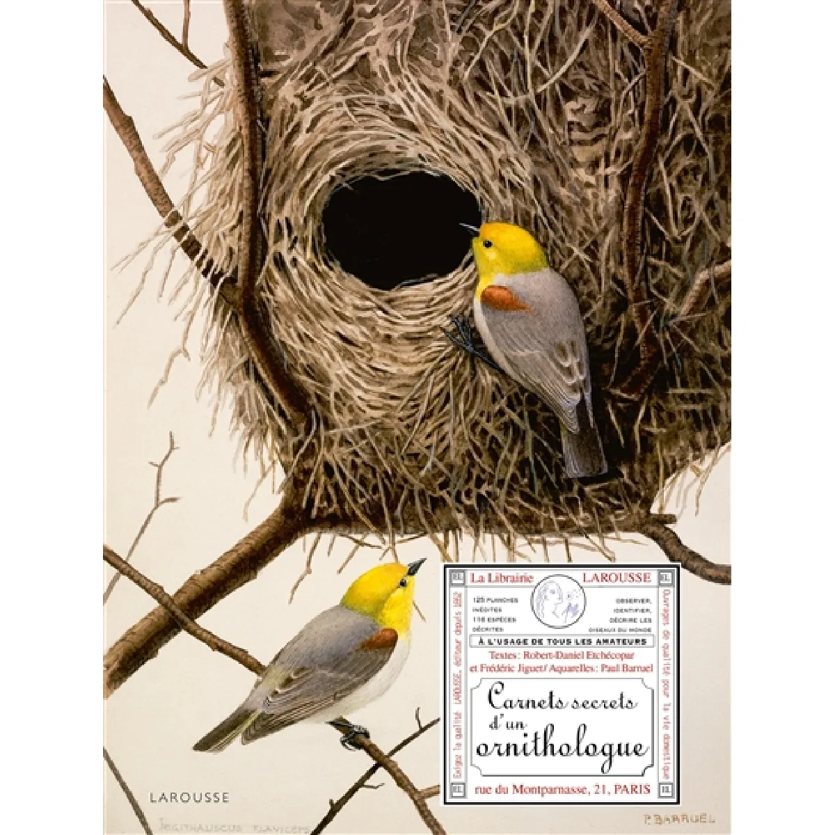 Carnets secrets d'un ornithologue : à l'usage de tous les amateurs
