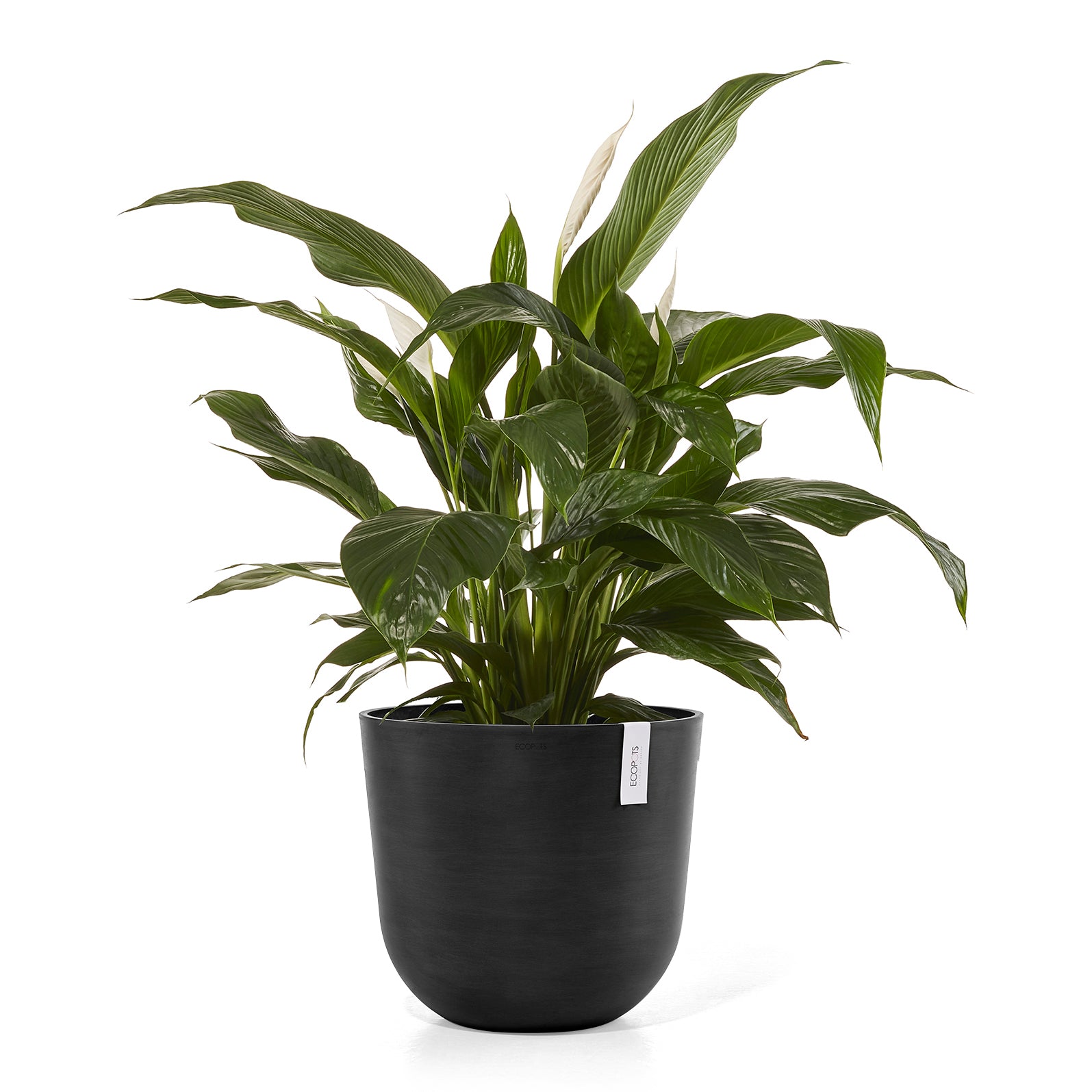 Ecopots Oslo Bloempot Ã 45 cm - Donkergrijs