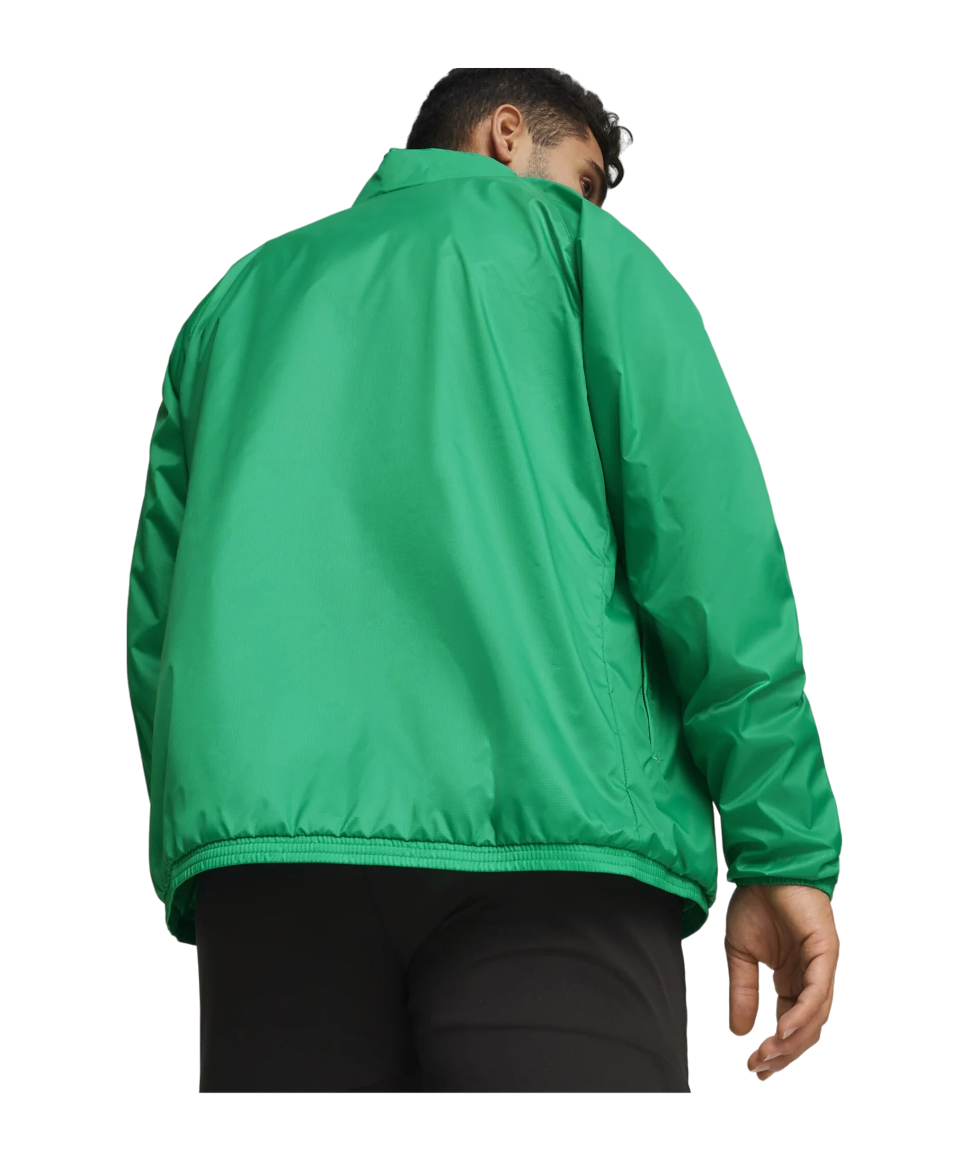 PUMA teamGOAL Allwetterjacke Grün Weiss F05