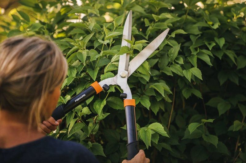 Fiskars - Heggenschaar - Gehard Staal - 55,5 cm