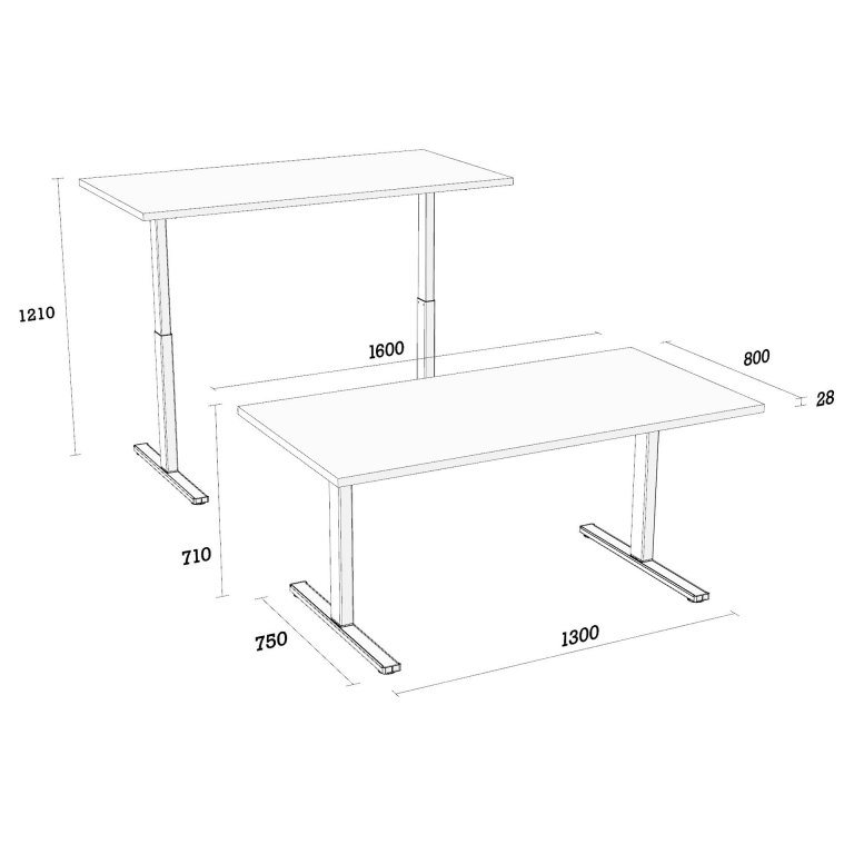 Modulor Tisch T1, höhenverstellbar