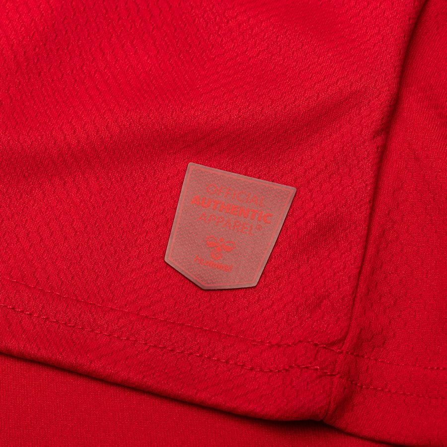Danemark Maillot Domicile Coupe du Monde 2022 Mini-Kit Enfant