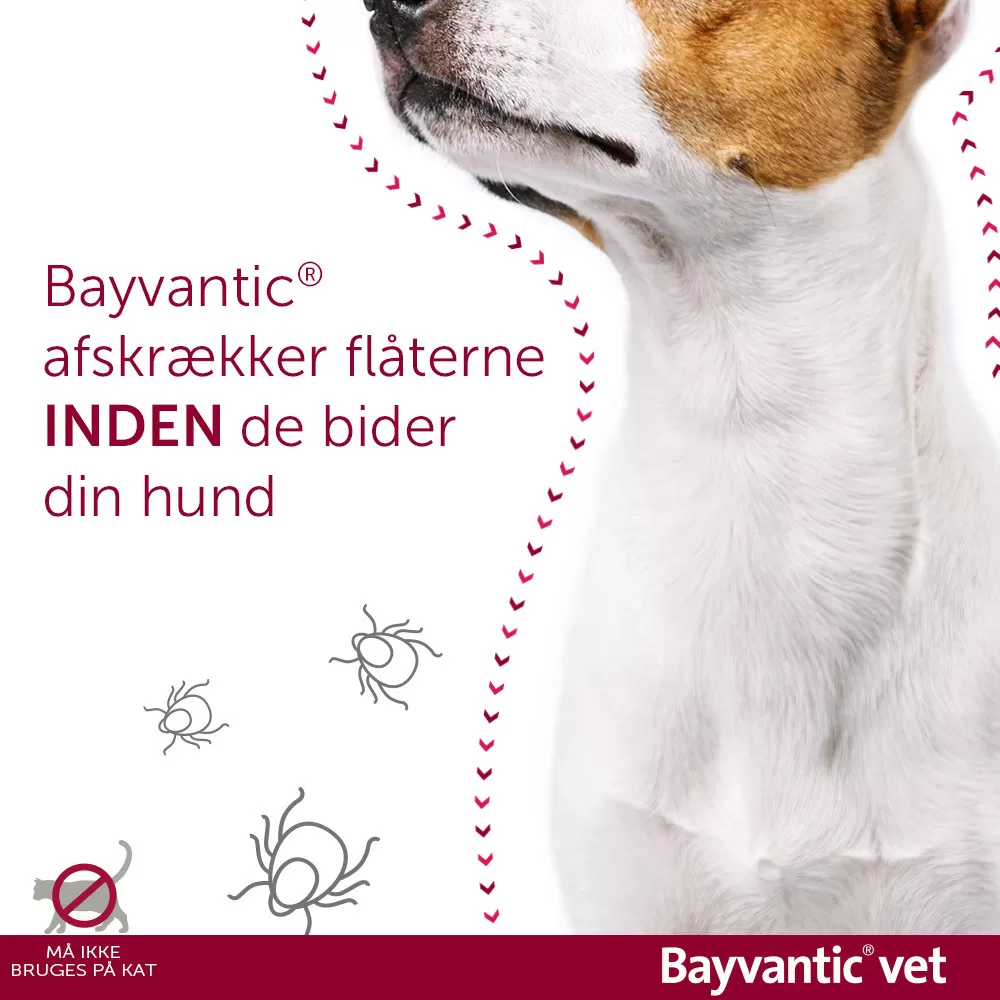 Bayvantic Vet. til hunde - 25-40 kg