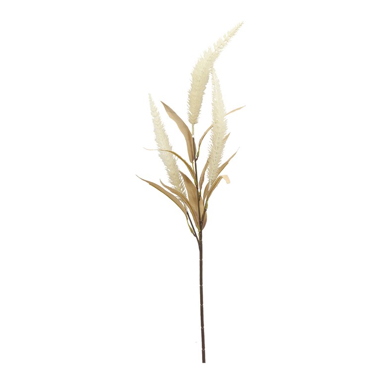 creme, L 70 cm
