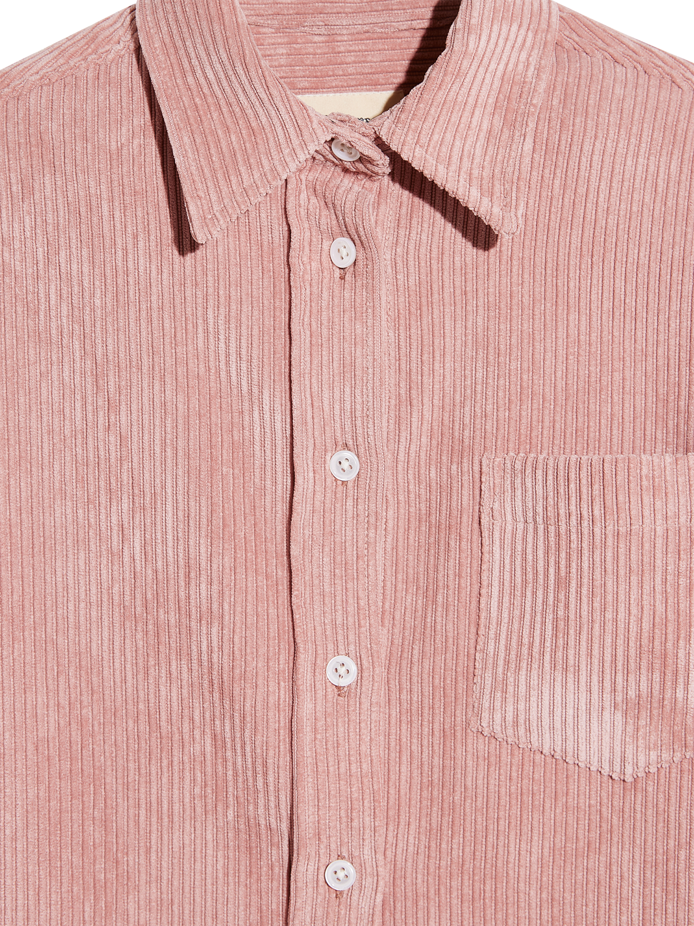 IRONIE - Chemise col classique en velours côtelé | Rose