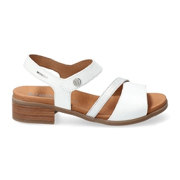 nikolia  SILK 7830/charm 9568  WHITE