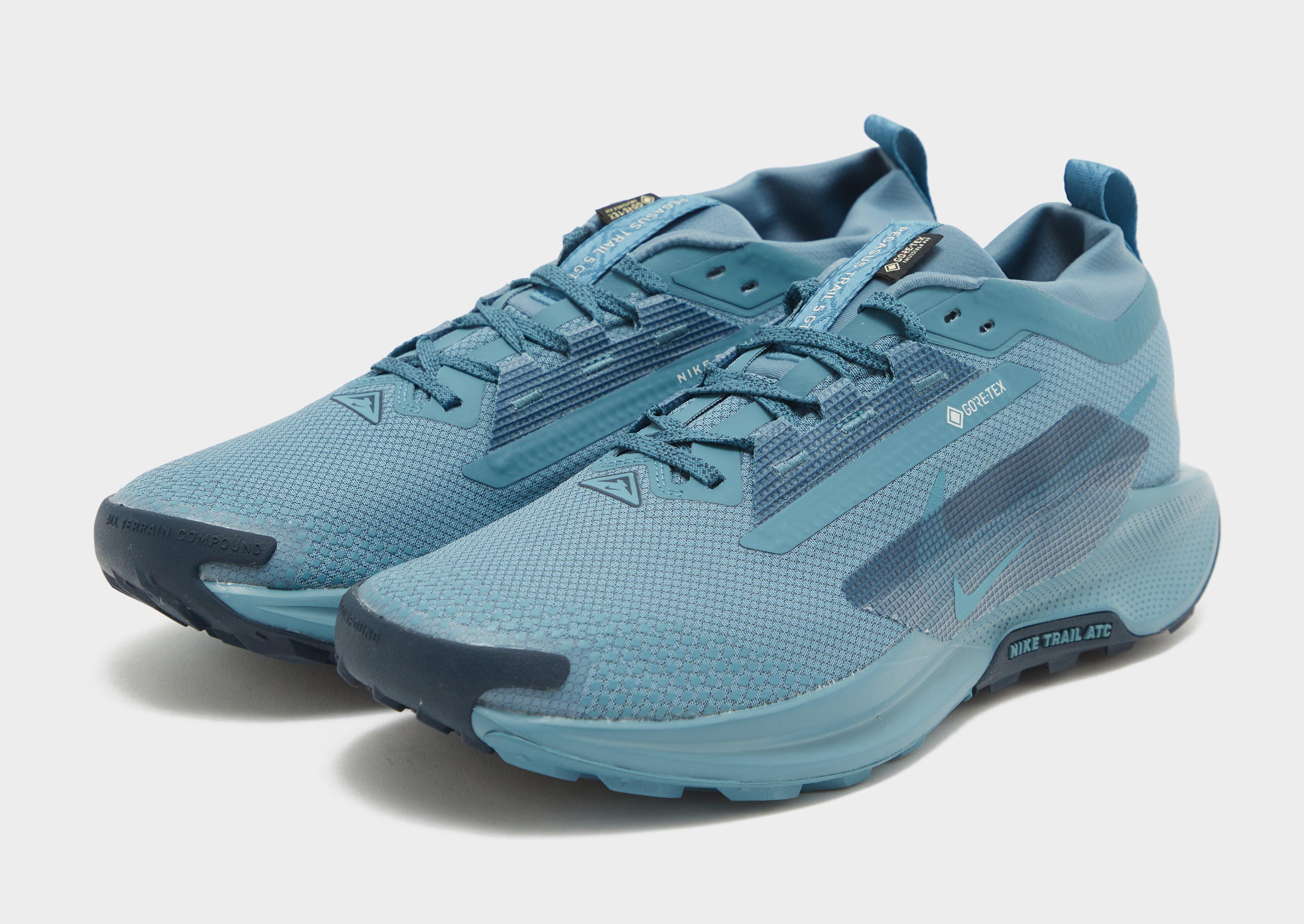 Nike Pegasus Trail 5 GORE-TEX Homme