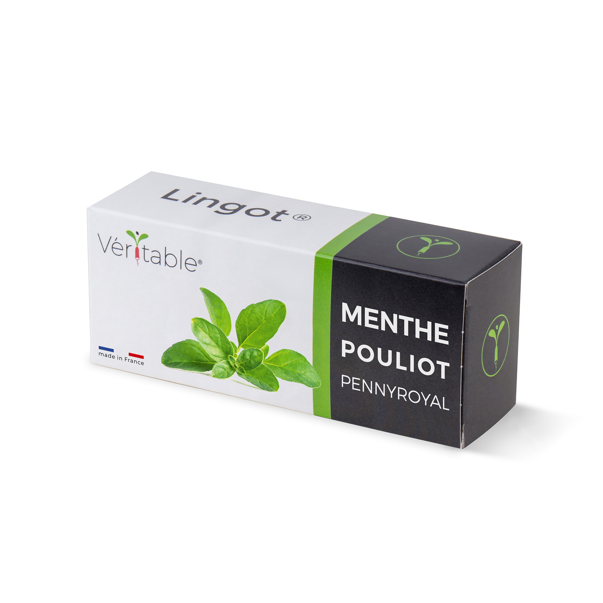 Lingot menthe pouliot - recharge prête à l'emploi