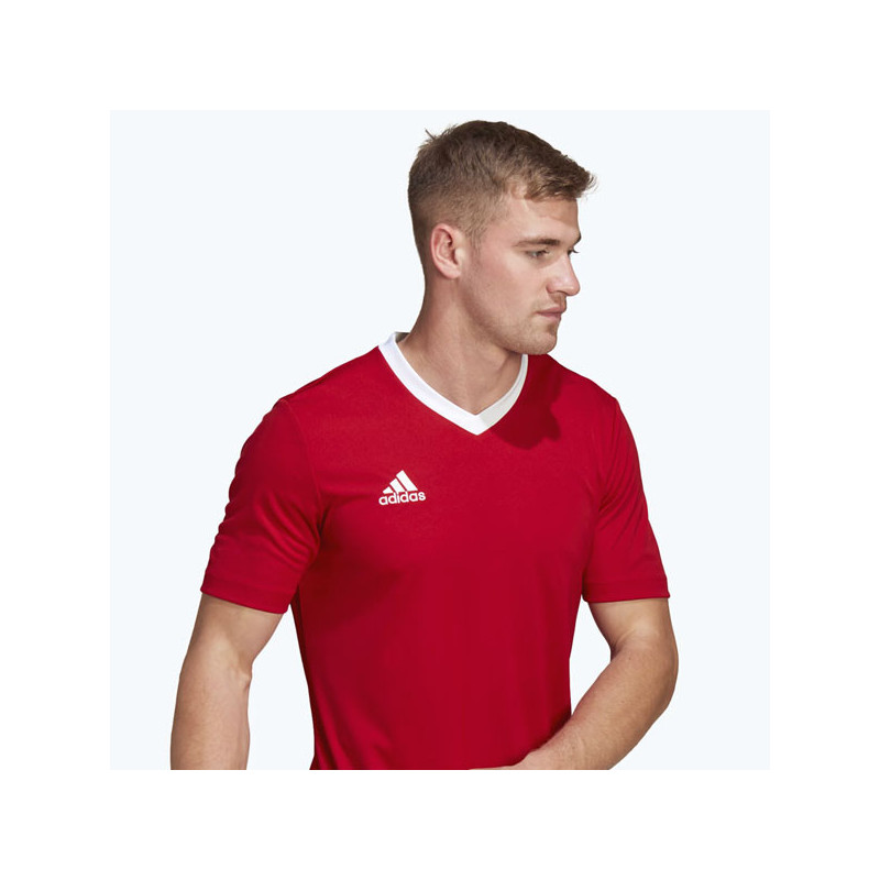 Tee-shirt sport Adidas Teamwear