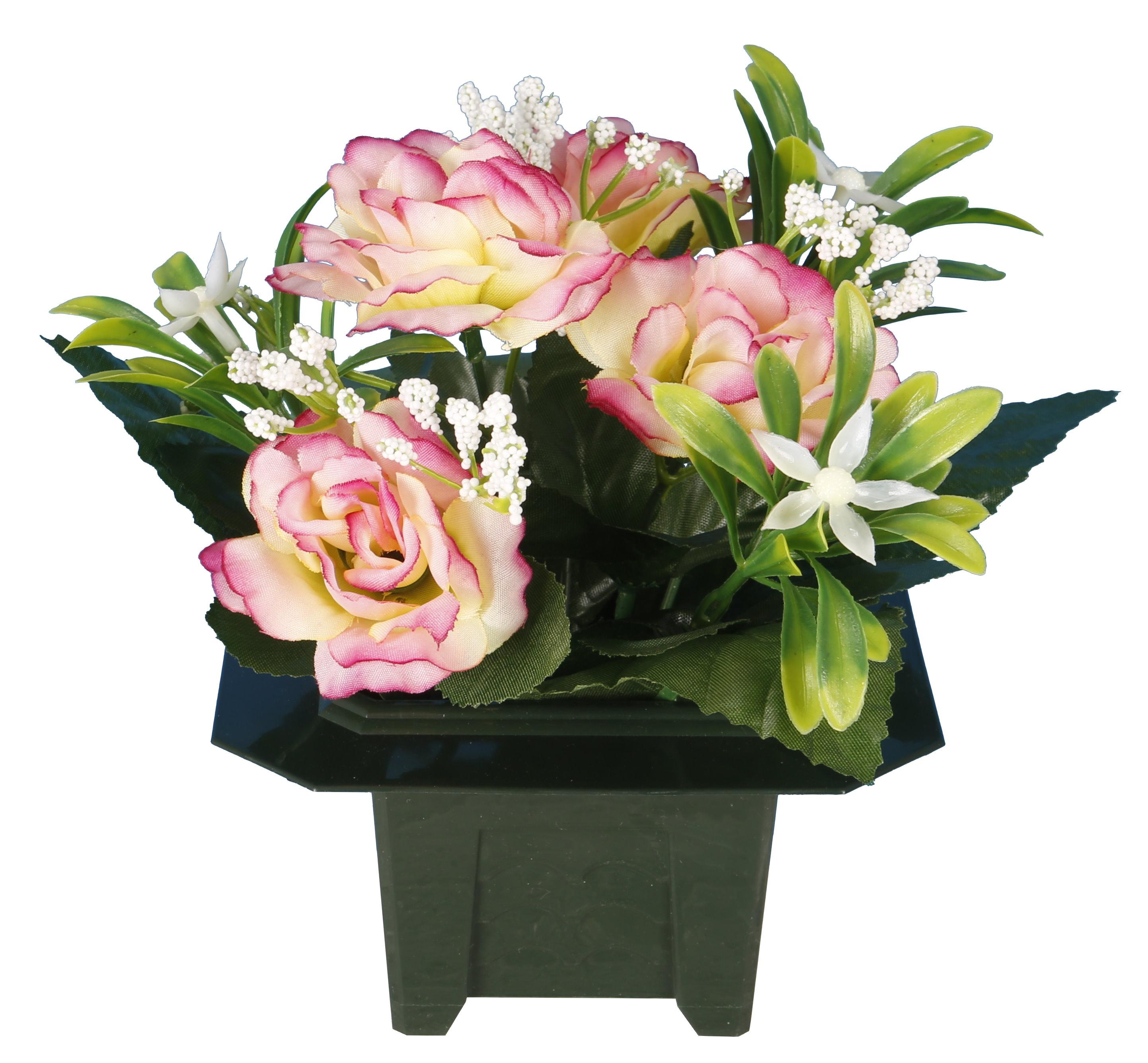 COLUMBARIUM POT DE ROSETTES