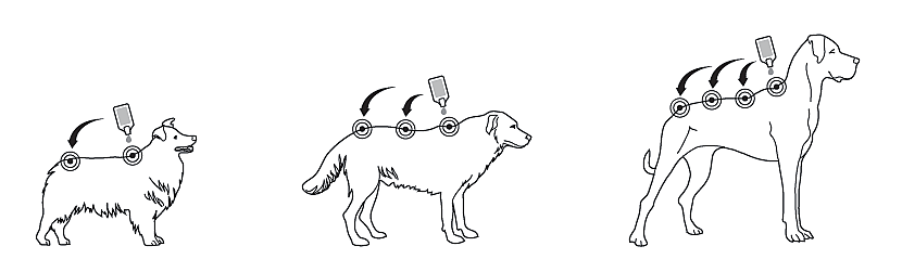 Bravecto Spot-on Pipet Hond | 11916