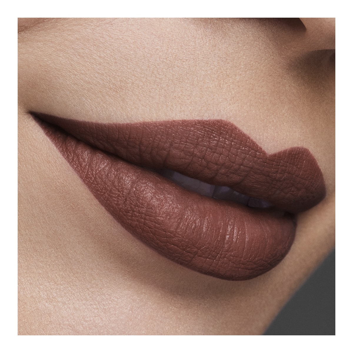 ESTEE LAUDER Pure Color Rouge à Lèvres Mat
