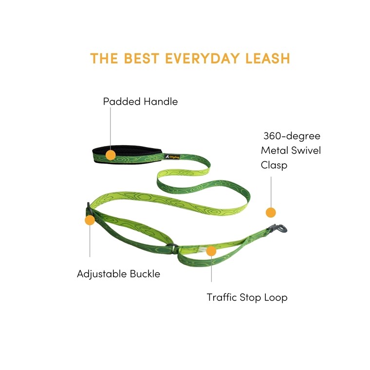 OllyDog Flagstaff Adj Leash