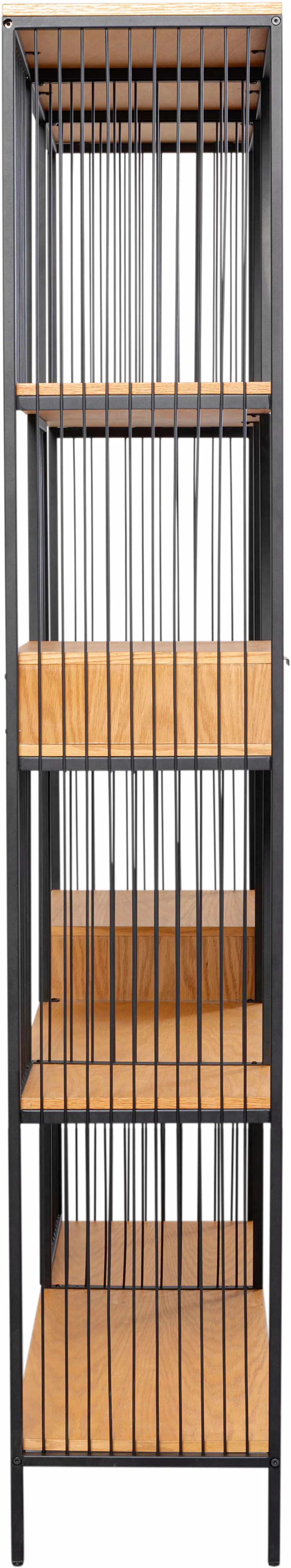 Regal Bologna 87824