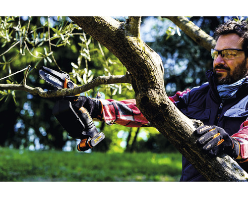 WORX 20V 12cm snoerloze snoeizaag/minikettingzaag/boomsnoeischaar WG324E.9 + GRATIS bonusartikel: 20V accu WA3644 (4,0Ah)