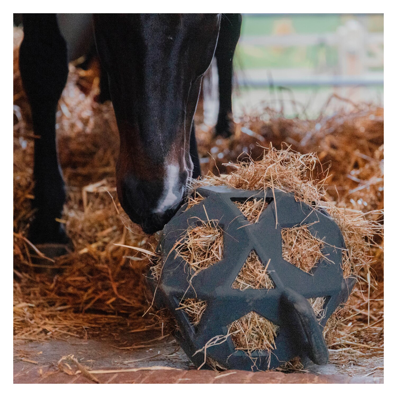 KENTUCKY Relay Pferde Spiel & Heuball  - grey