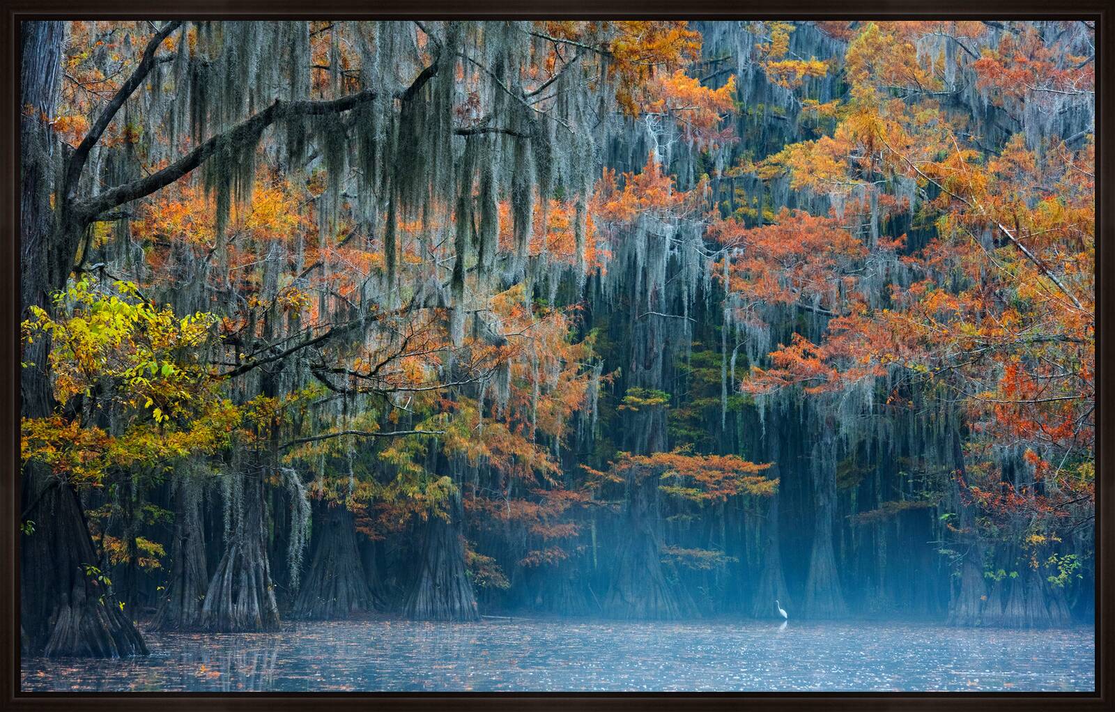 Silent Morning in the Cypress Swamp by Georg Popp - Limited Edition. Edition of: 150. Signed.