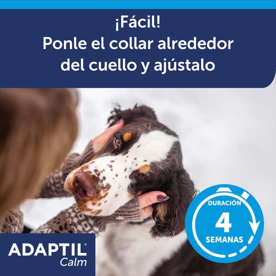 Coleira calmante Adaptil para cães