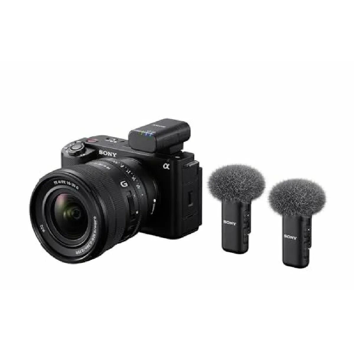 Quantum Sony ECM-W3