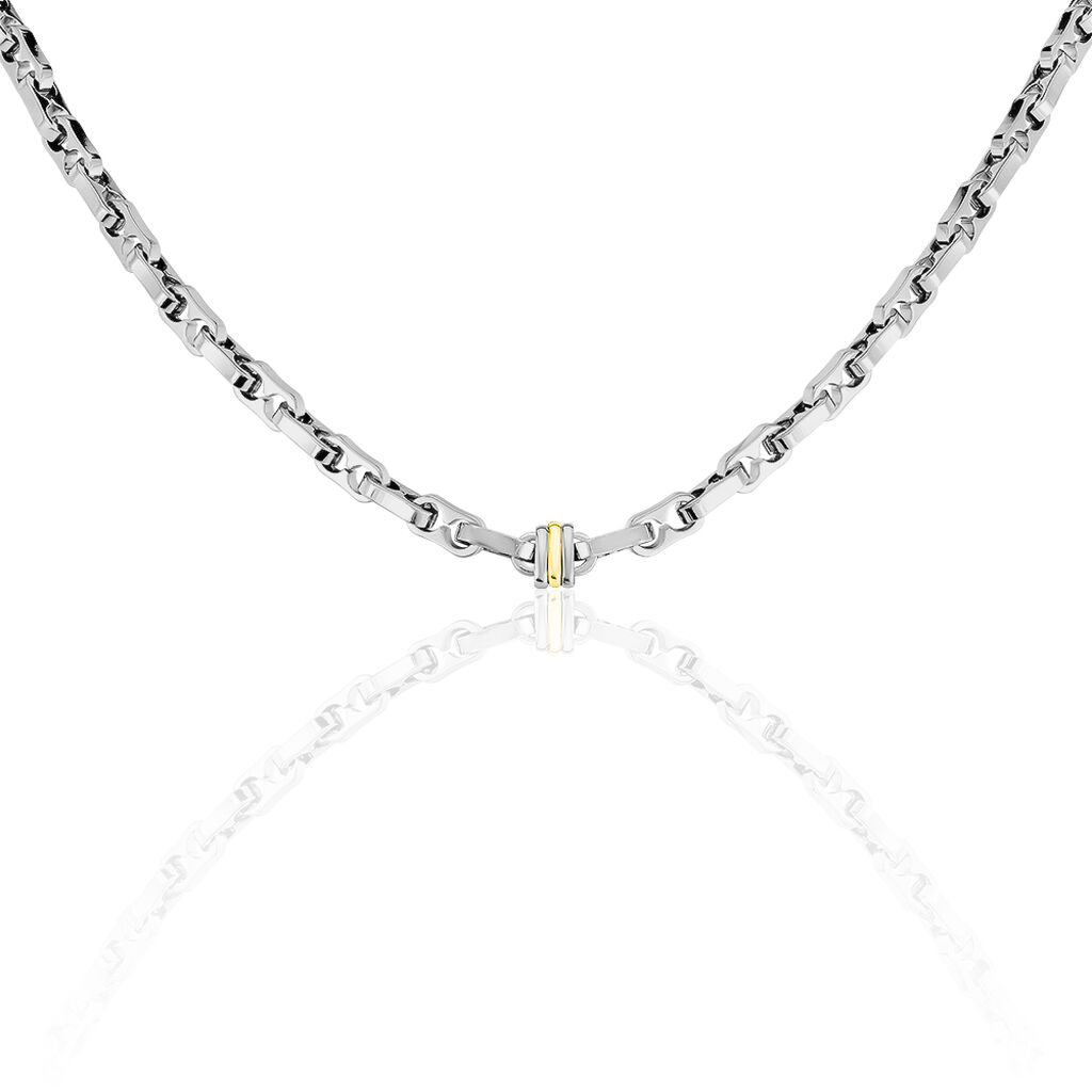 Collier Leandreae Or Acier Bicolore