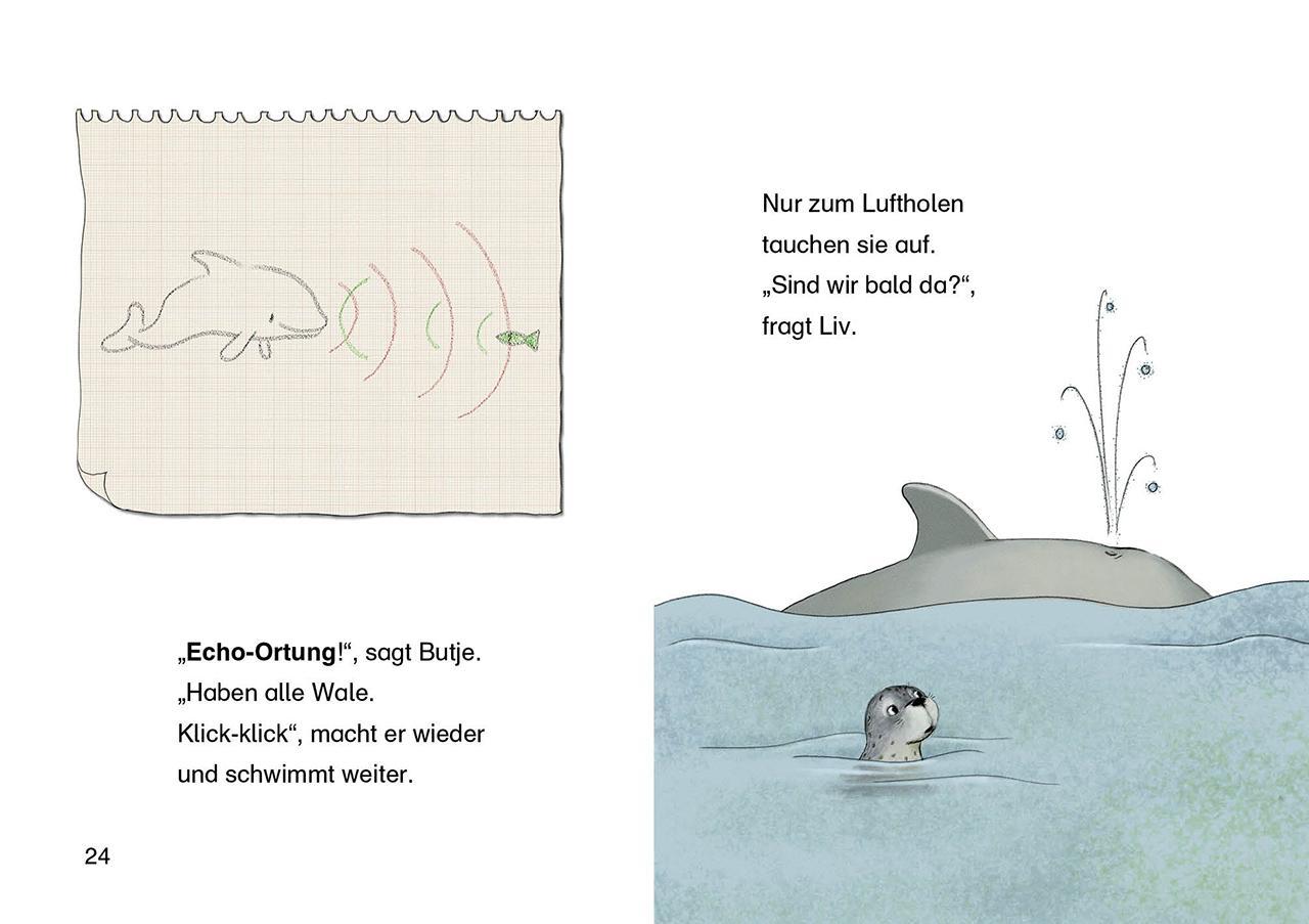 Leselöwen 1. Klasse - Der kleine Seehund findet einen Freund