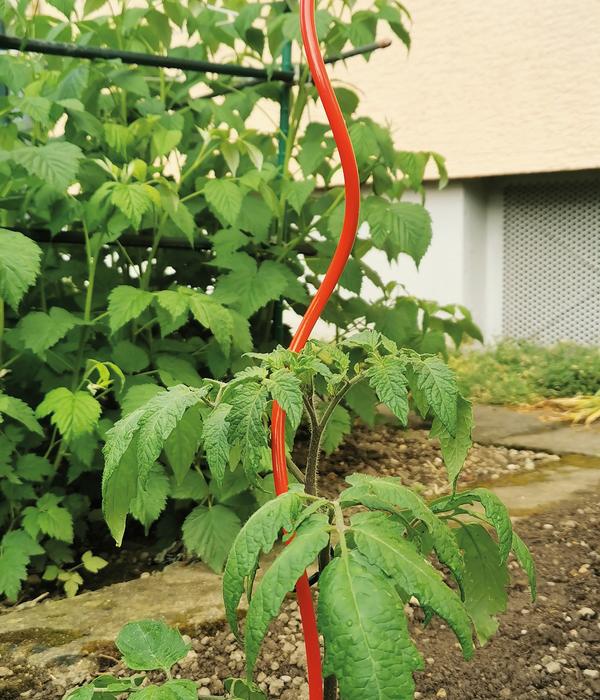 bellissa Stahl-Tomatenspirale Colorata