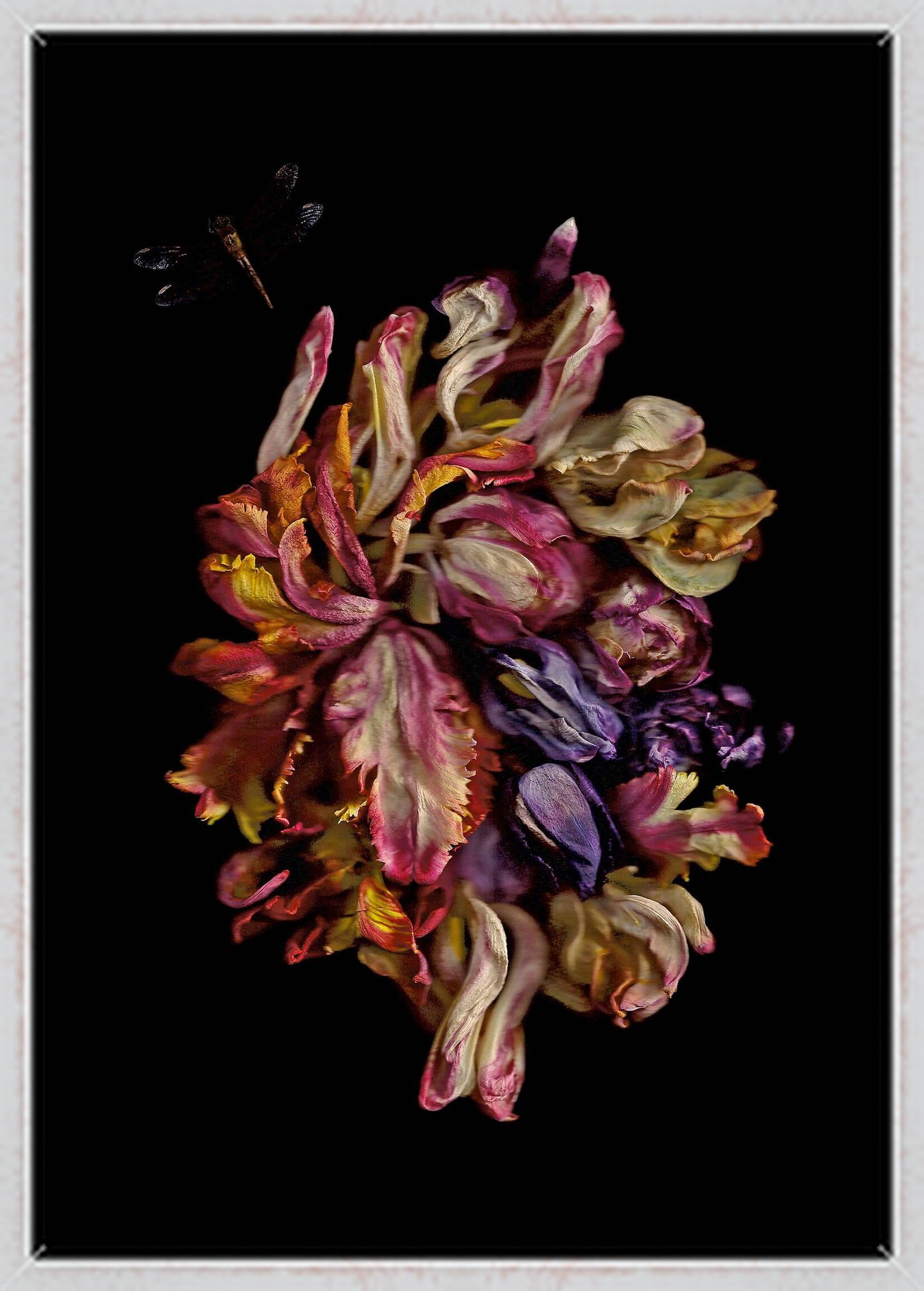 Vanitas V by Annet van der Voort - Limited Edition. Edition of: 100. Signed.