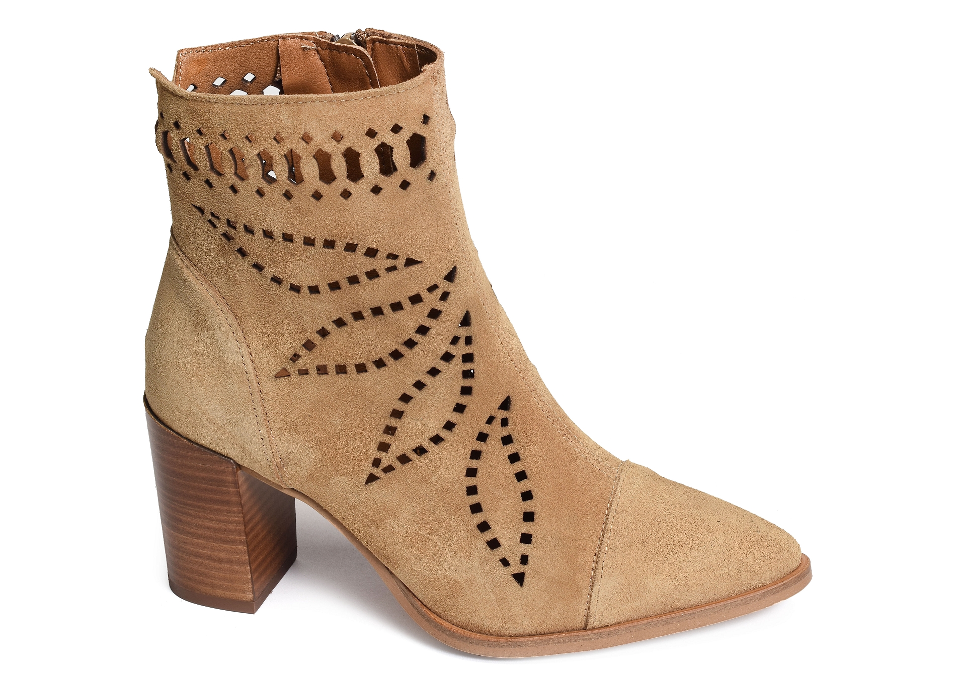 Senses 5031 camel