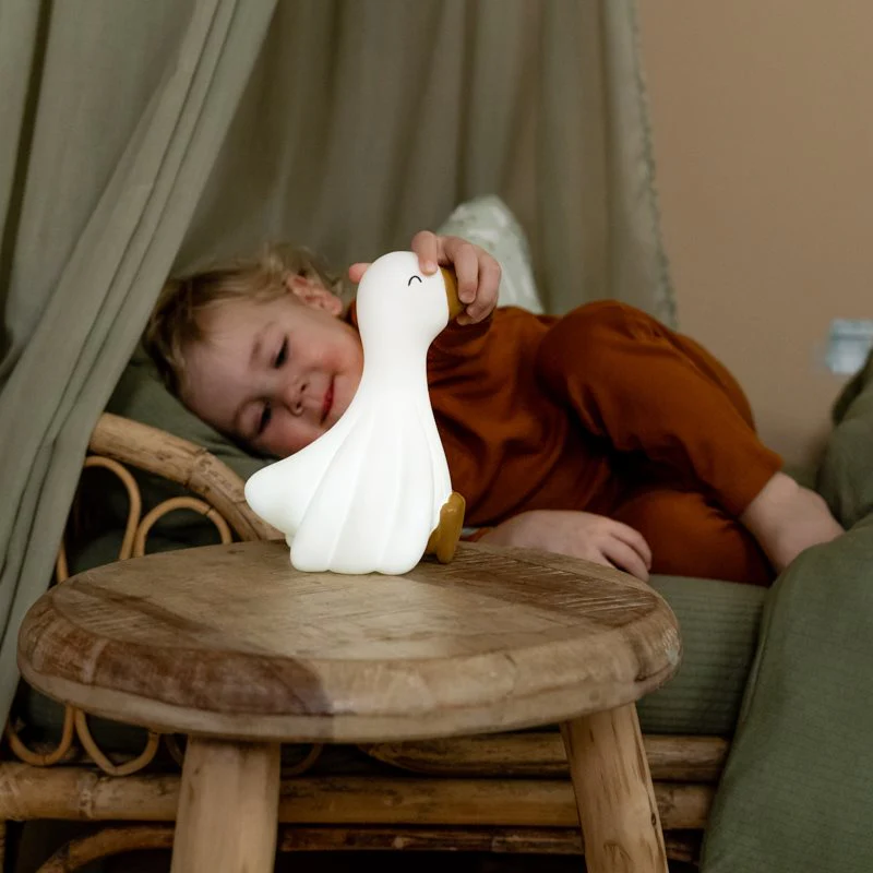 Little Dutch Nachtlamp Little Goose