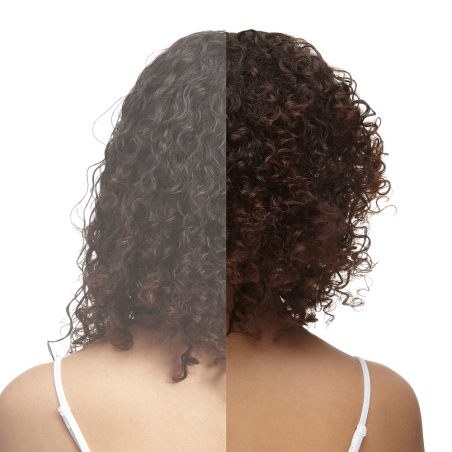 Revamp Progloss Sèche-cheveux 5500