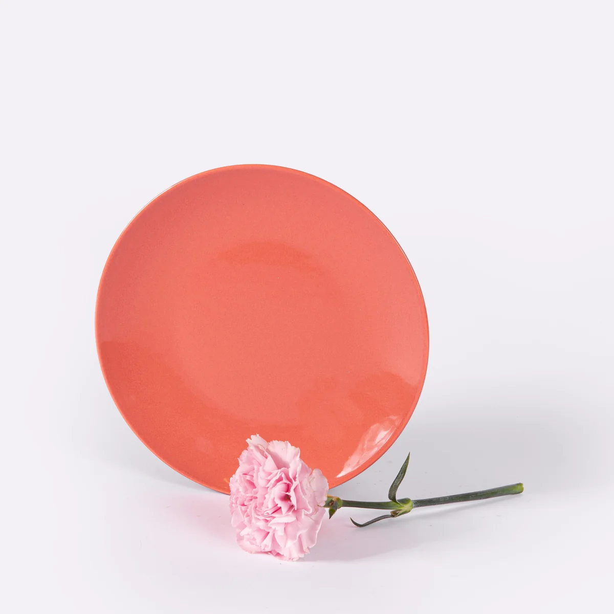 Petite assiettes ronde terracotta OGRE La Fabrique