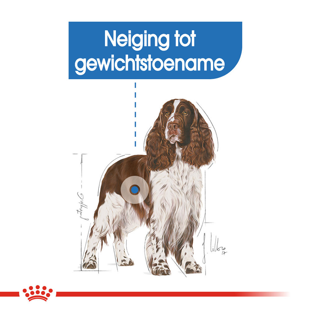 Royal Canin Medium Light Weight Care - Hondenvoer