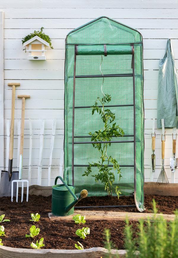 Dehner Tomaten-Spiralstab, verzinkt, ca. H170