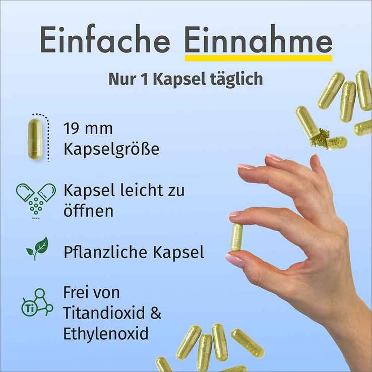 Green Naturals Jod aus Bio-Kelp 200 µg Kapseln, 365 St