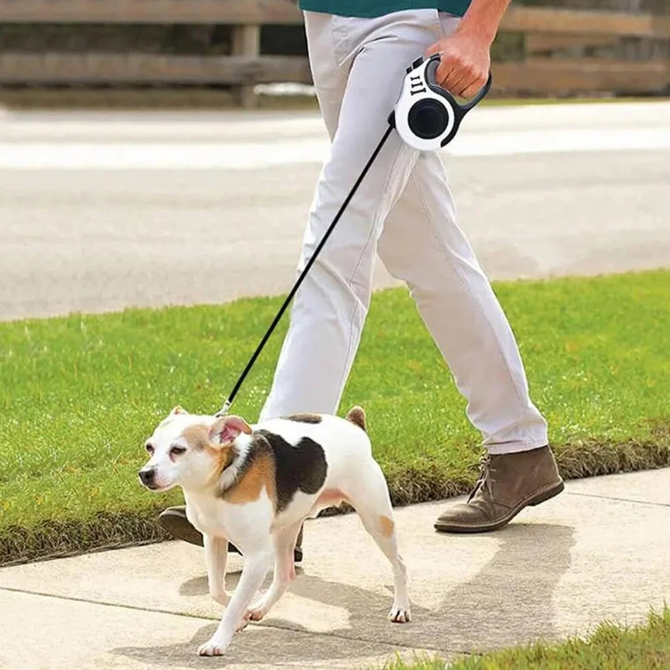 (3m) Einziehbare Hunde Leine Rollleine mit Stopper für Hunde bis 10 kg - Grün