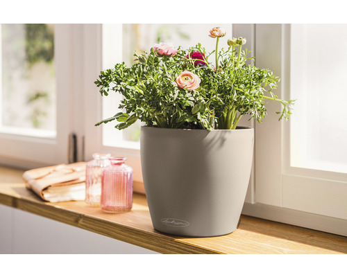Lechuza Classico Color bloempot Ø 18 cm zandbruin