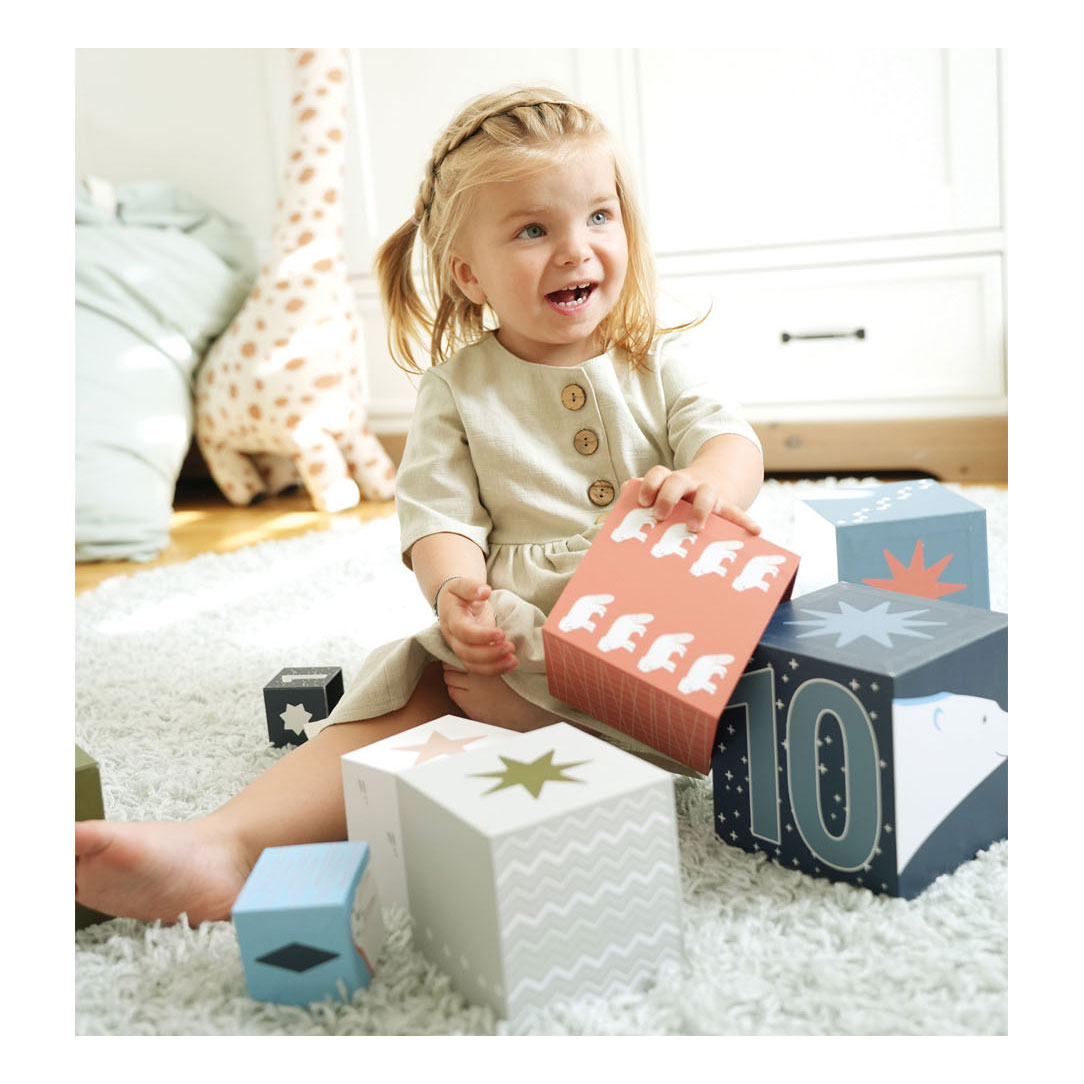 Small Foot - Stapelblokken Karton Arctic, 10dlg.