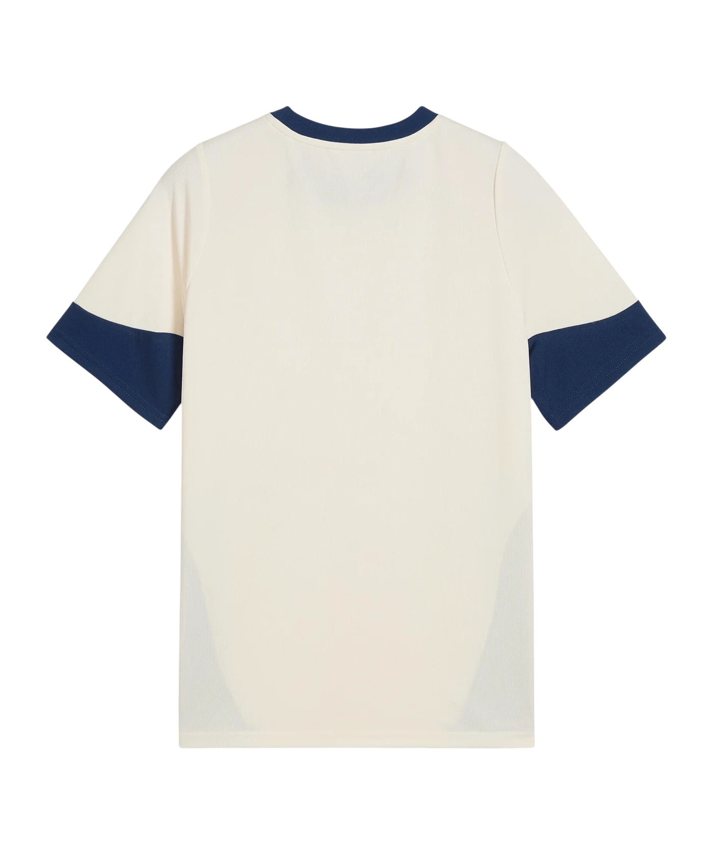 PUMA Portugal Training Jr Trikot Kids Beige F12