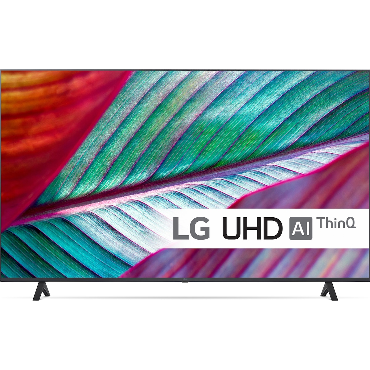 LG 55