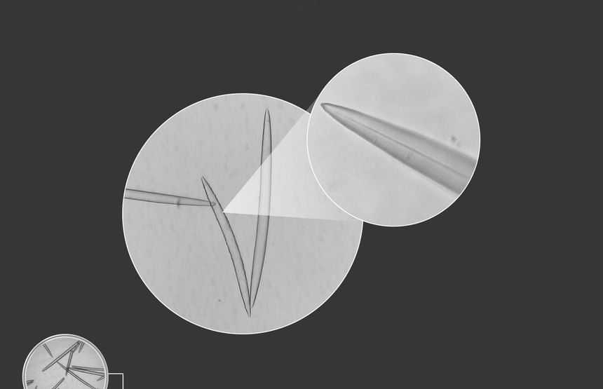 VT - Reedle Shot 100